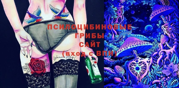 винт Абаза